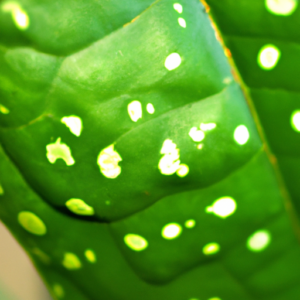 A close-up of a bright green leaf with white spots.