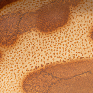 A close-up of a skin patch with a variety of shades of brown and tan.